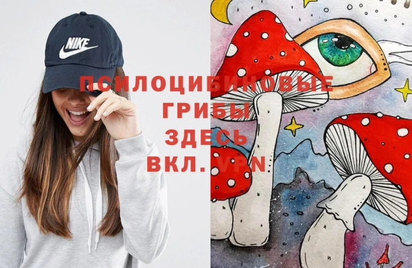 амф Арсеньев