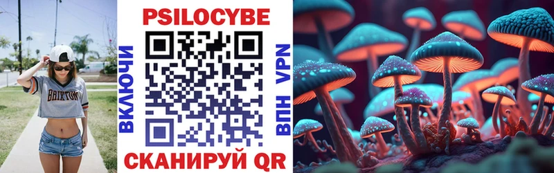 Псилоцибиновые грибы MAGIC MUSHROOMS  магазин    omg зеркало  Вихоревка 